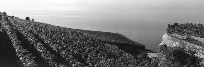 img/panorama/large/26092023-Leoni Jerome-1-2-Panorama.jpg